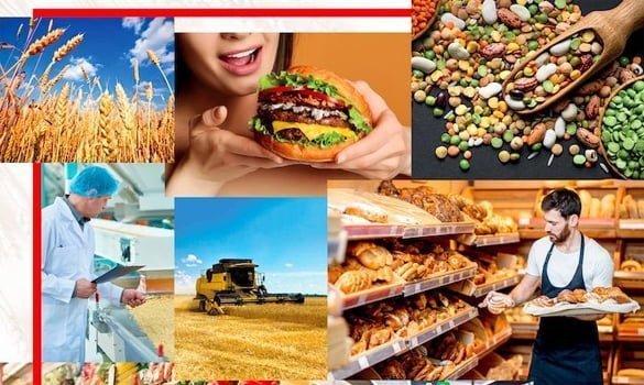 Dünya gıda sektörü İstanbul'da buluşuyor