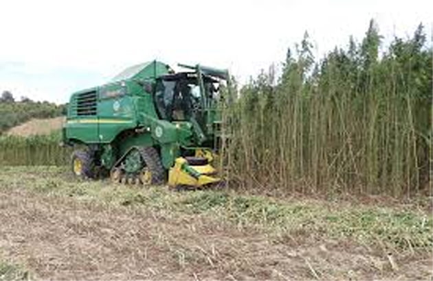 30 milyon dolar yatırım...